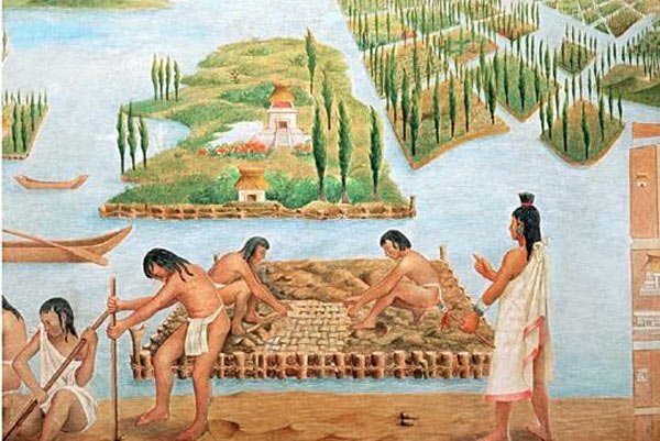 Teotihuacan's Chinampas
