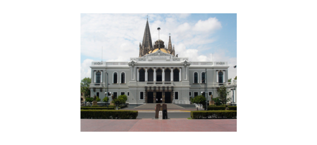 LEY ORGANICA DE 1994