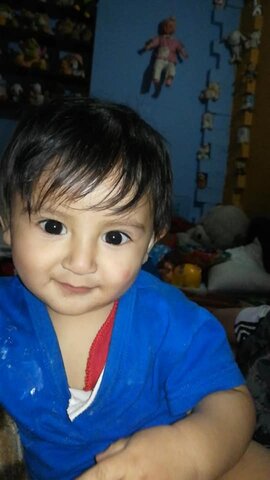 La cigüeña tocaría mi Vida