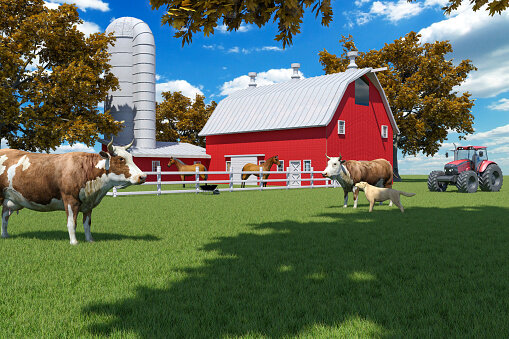 INTELIGENCIA NATURISTA