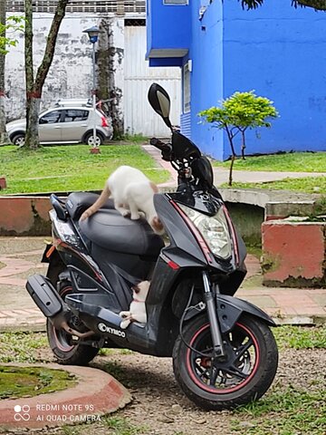 Compre mi primer moto