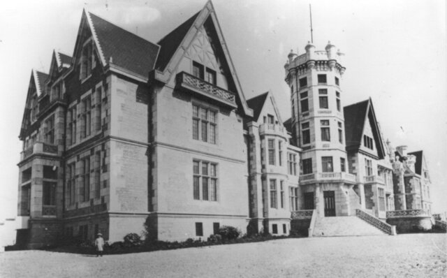 Director de Universidad