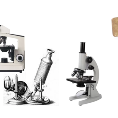 Timeline: Cell theory