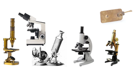 Timeline: Cell theory