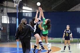 Creación de cestoball y SAEF