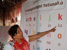 Nombramiento de maestros bilingües para ejercer la docencia en grupos indígenas