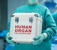 First organ transplant