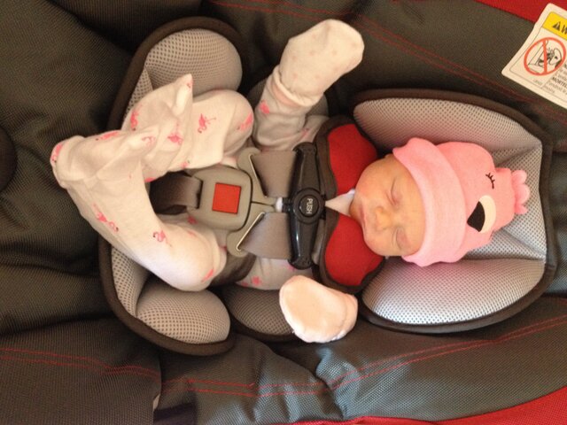 Home from the hospital