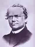 Johan Gregor Mendel