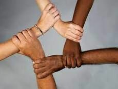 Acción afirmativa integracionista