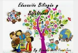 Educación bilingüe de transición
