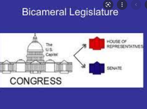 Bicameral Legislature