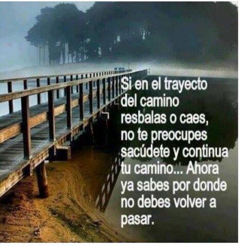 Continuar mi Camino al ÉXITO