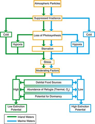 ka; K-Pg Mass Extinction