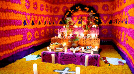 Timeline: melissa-katherine -dia de muertos