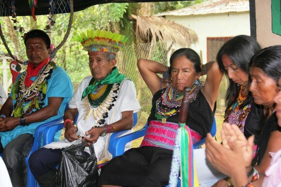 Programas De Formación