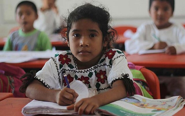 Diversidad en las Instituciones Educativas