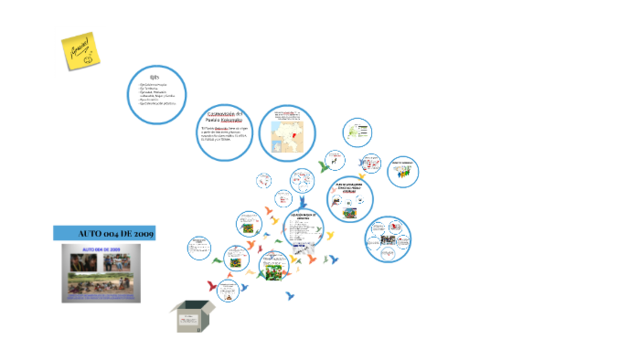 AUTO 004 DE 2009