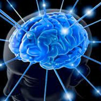 Timeline: Proceso neurobiológico de las funciones cognitivas superiores en la fase postnatal del desarrollo