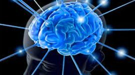 Timeline: Proceso neurobiológico de las funciones cognitivas superiores en la fase postnatal del desarrollo