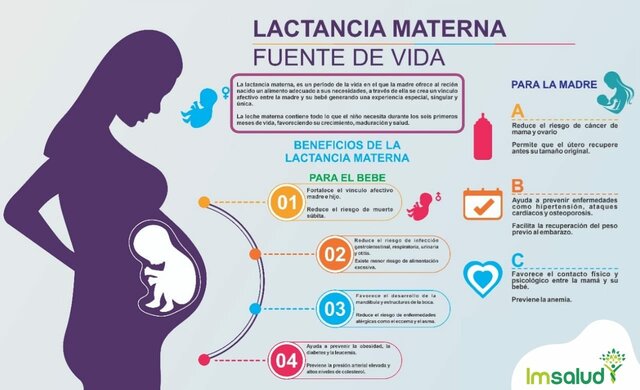 Leche materna: más que nutrición