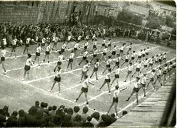 Fiesta de la Educación Física