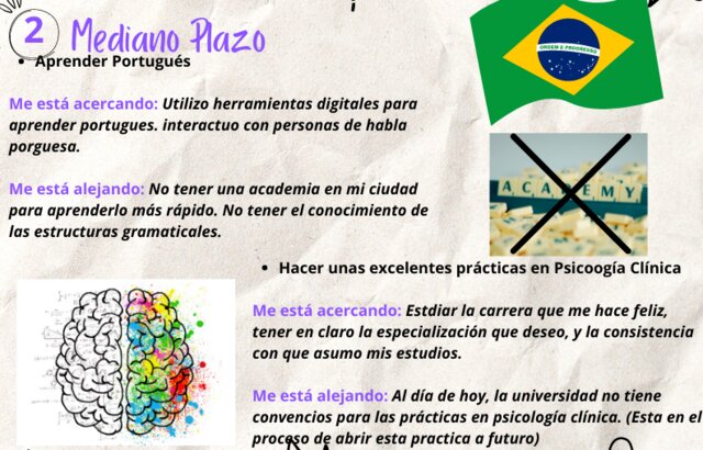 Mis Proyecciones - Metas a Mediano Plazo