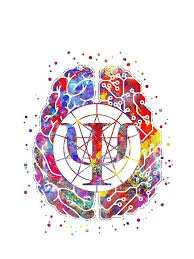 Entré a estudiar psicología