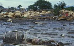 Durante la catástrofe - 13 de noviembre