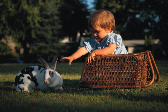 Children's Health Act