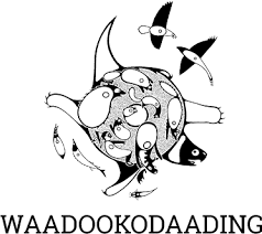 Indian Self Determination and Education