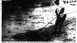 Timeline: La intervención en la historia de mi región