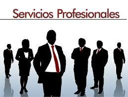 Los servicios profesionales
