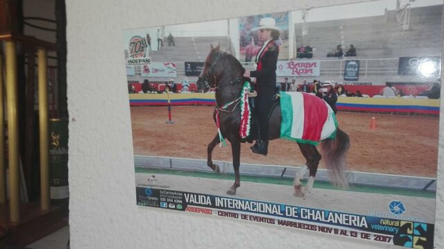 Campeona en Chalanería