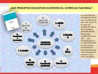 Curriculum y procesos didacticos