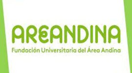 Timeline: Descubriendo mi creatividad