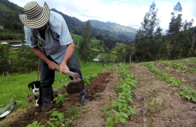COMUNIDADES RURALES CAMPESINAS