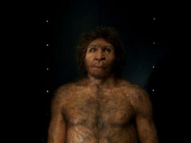 HACE 800.000 AÑOS