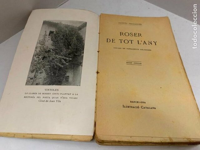 "Roser de tot l’any"