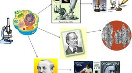 Timeline: Cronograma: " Principales acontecimientos acerca de la célula"