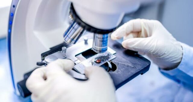 moléculas congeladas