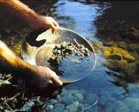 Gold Rush Begins
