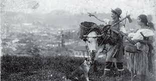 1900 (Político-Económico-Social)