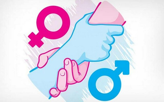 Ley de igualdad entre mujeres y hombres