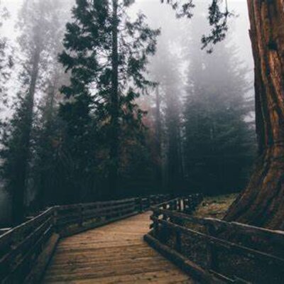 Timeline: Proyección de Vida