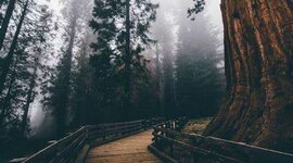 Timeline: Proyección de Vida