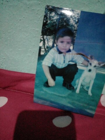 Iniciando la escuela