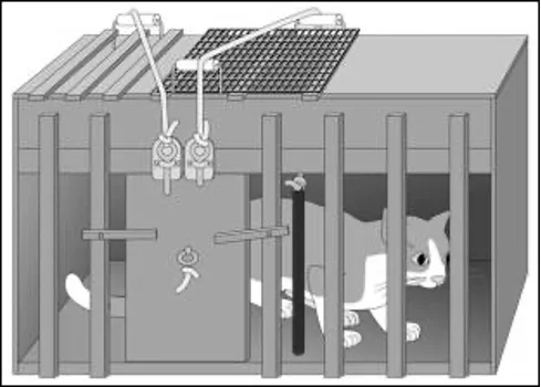 Edward Thorndike realiza experimentos con gatos, perros y gallinas.