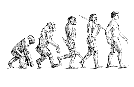 la evolución.