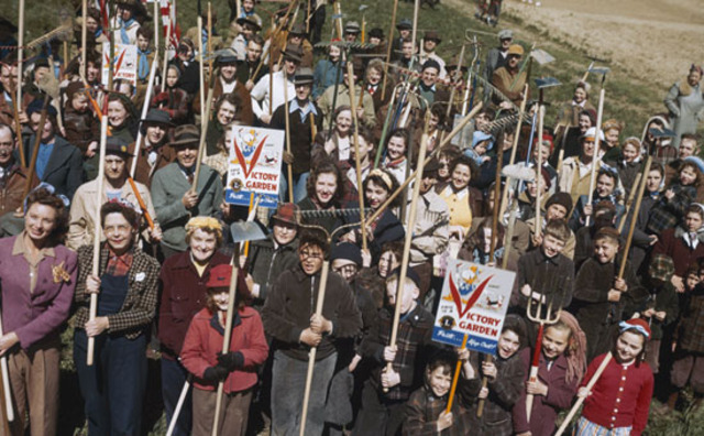 Domestic Volunteer Services Act of 1973